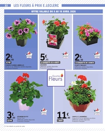 Offre Plantes dans le catalogue E.Leclerc du moment à la page 22