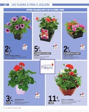 Géranium en promo dans le catalogue E.Leclerc à la page 22