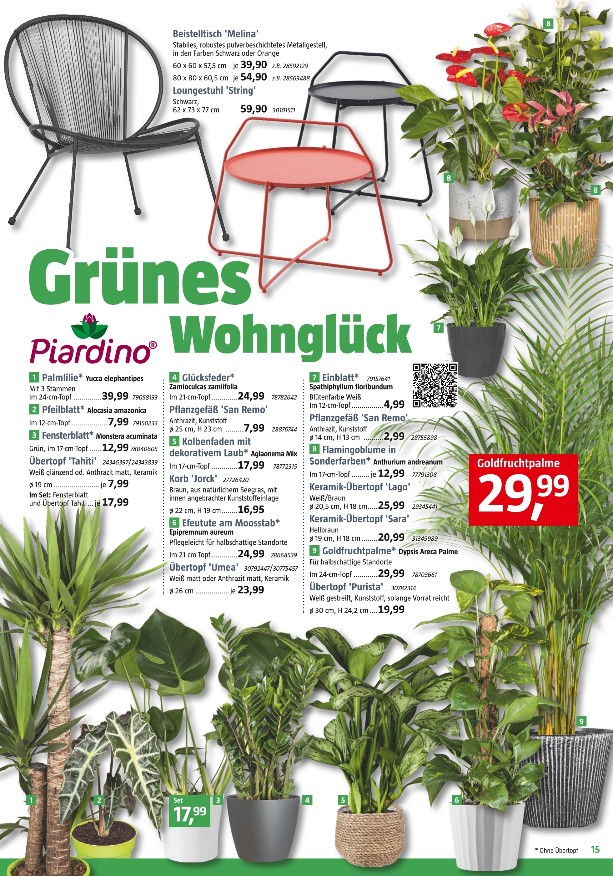 Angebot Lidl Prospekt & Pflanzen: 🧡 aktuellen Preis im