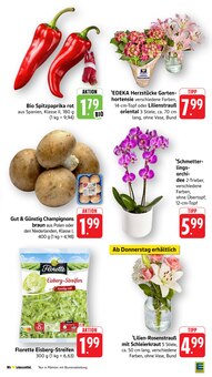 Champignons im aktuellen E center Prospekt (Stuttgart) Champignons im E center Prospekt "Aktuelle Angebote" mit 56 Seiten (Stuttgart)