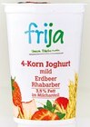 Aktuelles 4-Korn Frucht Joghurt Angebot bei Netto mit dem Scottie in Magdeburg ab 1,00 €