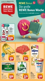 Aktueller REWE Discounter Prospekt in Ettenheim und Umgebung, "Dein Markt" mit 24 Seiten, 13.10.2025 - 18.10.2025