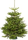 Hagebaumarkt Werder - Weihnachtsbaum gesägt Angebot im Prospekt Weihnachtsbaum gesägt bei Hagebaumarkt im Werder Prospekt für 10,00 €