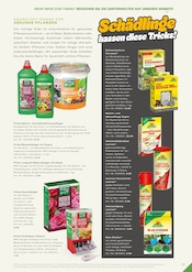 Aktueller RHG Baucentrum Prospekt mit Eis, "Der Katalog für Gartengestaltung, Gartenpflege und Gartenfreizeit.", Seite 219