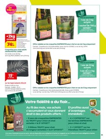 Promo Orchidée dans le catalogue Truffaut du moment à la page 5