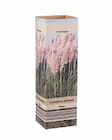 Pampasgras (Cortaderia) von  im aktuellen Lidl Prospekt für 2,49 €