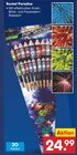 Aktuelles Rocket Paradise Angebot bei Netto Marken-Discount in Neumarkt (Oberpfalz) ab 24,99 €