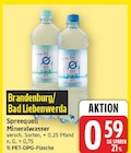 Mineralwasser von Spreequell im aktuellen E center Prospekt