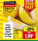 Lidl Dresden Prospekt mit Honigmelone im Angebot für 1,99 €