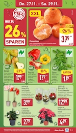 Aktueller ALDI Nord Prospekt mit Stauden, "Aktuelle Angebote", Seite 35