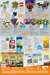 Bio Lebensmittel im Globus-Baumarkt Prospekt in Karlsruhe Aktueller Globus-Baumarkt Prospekt mit Bio Lebensmittel, "Immer eine Idee besser", Seite 8