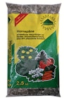 HORNSPÄNE Angebote bei Wreesmann Cuxhaven für 7,99 €