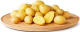 Aktuelles Speisekartoffeln „Drillinge“ Angebot bei Penny in Dresden ab 1,69 €