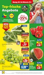 Wassermelone Angebot im aktuellen Lidl Prospekt auf Seite 2