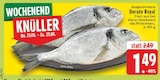 Dorade Royal bei EDEKA im Wuppertal Prospekt für 1,49 €