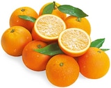 Saftorangen Angebote von Valensina bei REWE Bocholt für 2,99 €