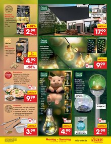 Briketts im Netto Marken-Discount Prospekt "Aktuelle Angebote" mit 63 Seiten (Rostock)