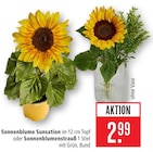 Aktuelle Pfanne Angebote bei Marktkauf in Heilbronn Aktuelles Sonnenblume Sunsation Angebot bei Marktkauf in Heilbronn ab 2,99 €