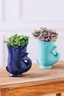 Plantes Vertes - Super U à Orléans Plantes Vertes en promo chez Super U Orléans à 7,99 €