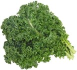 Grünkohl im Angebot bei REWE in Oberhausen Grünkohl Angebote von REWE Regional bei REWE Oberhausen für 1,99 €