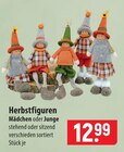 Herbstfiguren im Angebot bei famila Nordost in Falkensee Herbstfiguren Angebote bei famila Nordost Falkensee für 12,99 €