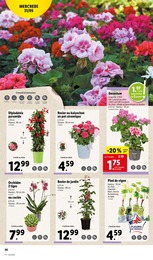 Prix et réduction Bricolage dans le prospectus Lidl en cours Offre Bricolage dans le catalogue Lidl du moment à la page 32