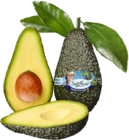 Avocado im Angebot bei REWE in Heilbronn Avocado Angebote von SanLucar bei REWE Heilbronn für 1,99 €