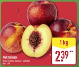 ALDI Nord Schorfheide - Nektarinen Angebot im Prospekt Nektarinen bei ALDI Nord im Schorfheide Prospekt für 2,39 €