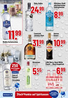 Wodka im aktuellen Trinkgut Prospekt (Heidelberg) Wodka im Trinkgut Prospekt "Aktuelle Angebote" mit 8 Seiten (Heidelberg)