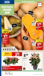 Offre Patate Douce dans le catalogue Lidl du moment à la page 36