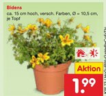 Bidens Angebote bei Netto Marken-Discount Bremerhaven für 1,99 €