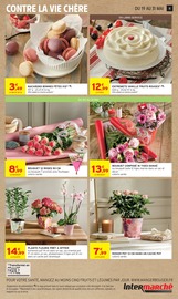 Orchidée en promo dans le catalogue Intermarché Super à la page 11