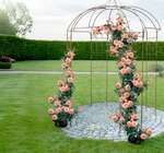 Rosenpavillon Angebote bei Thomas Philipps Altenburg für 77,77 €