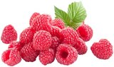 Himbeeren im Angebot bei REWE in Zwickau Himbeeren Angebote bei REWE Zwickau für 3,79 €