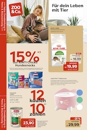 Aktueller Garten-Center Nordharz GmbH & Co. KG Prospekt mit Tierfutter, "Aktuelle Angebote", Seite 6