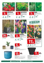Prix et réduction Tulipes dans le prospectus Gamm vert en cours Offre Tulipes dans le catalogue Gamm vert du moment à la page 3
