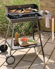 Barbecue à charbon de bois Torino - Somagic en promo chez Super U Toulouse à 39,00 €