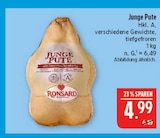 Junge Pute Angebote von Ronsard bei Marktkauf Leipzig für 4,99 €