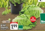 EDEKA Ockenfels - Bio-Mini-Romanasalat Angebot im Prospekt Bio-Mini-Romanasalat bei EDEKA im Ockenfels Prospekt für 1,99 €