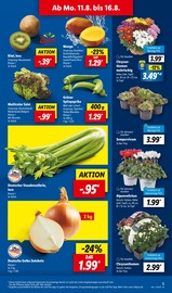 Aktueller Lidl Prospekt mit Mango, "LIDL LOHNT SICH", Seite 5