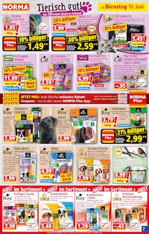 Norma Prospekt der aktuellen Woche, gĂĽltig von 10.06.2025 bis 14.06.2025 Aktueller Norma Prospekt "Mehr fĂĽrs Geld" mit 21 Seiten