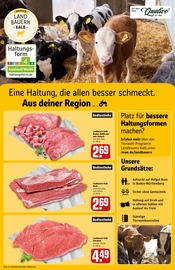 Aktueller REWE Prospekt mit Schnitzel, "Dein Markt", Seite 11