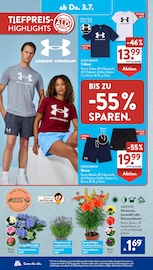 Hortensie im ALDI SÜD Prospekt in Grevenbroich Aktueller ALDI SÜD Prospekt mit Hortensie, "Gutes für Alle.", Seite 22