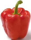 Netto mit dem Scottie Demmin - Paprika rot Angebot im Prospekt Paprika rot bei Netto mit dem Scottie im Demmin Prospekt für 1,69 €
