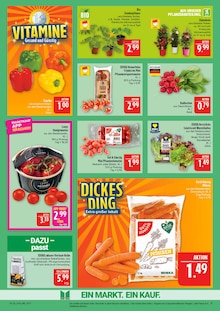 Tomaten im Marktkauf Prospekt "AUSWAHL RIESIG, PREISE NIEDRIG" mit 48 Seiten (Leipzig)