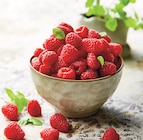 U Express Castelginest - Promo Framboise Promo Framboise à 2,00 € dans le catalogue U Express à Castelginest
