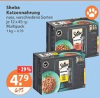 Katzennahrung im V-Markt Prospekt Katzennahrung von Sheba im aktuellen V-Markt Prospekt für 4,79 €