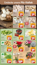 Aktueller REWE Prospekt mit Tierfutter, "Dein Markt", Seite 7