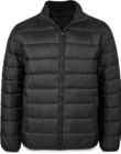 Herren Steppjacke im Angebot bei Netto Marken-Discount in Freiburg Herren Steppjacke Angebote von Spirit of colours bei Netto Marken-Discount Freiburg für 17,99 €