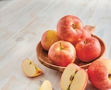 Pomme - U en promo chez U Express Dijon à 2,39 €